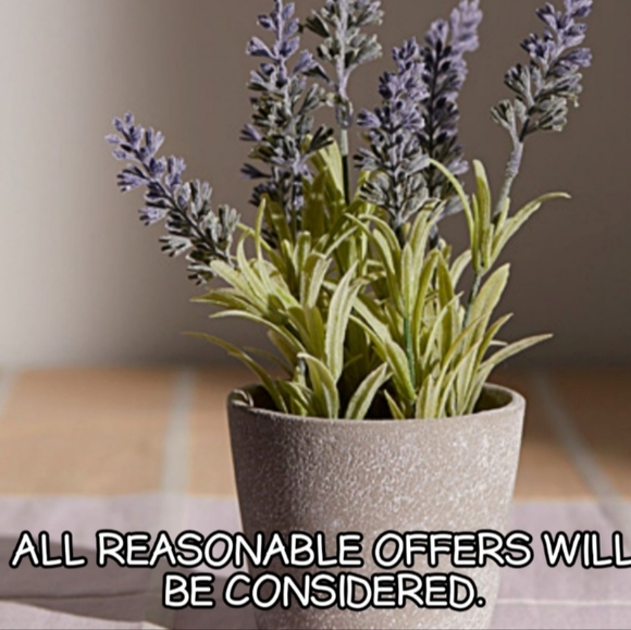 PAUL Frank original pink hoodie monkey zipper sweater Medium girl kids - Picture 9 of 9